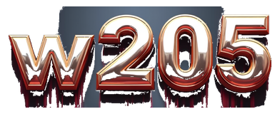 w205 logo